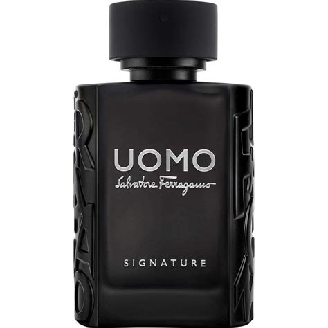 ferragamo locion hombre|More.